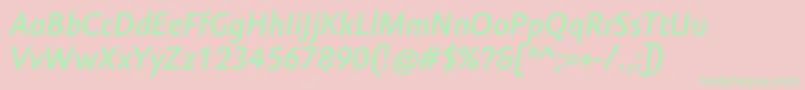 AmorSansProBoldItalic Font – Green Fonts on Pink Background