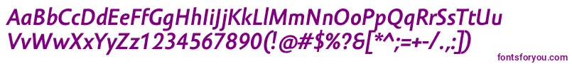 AmorSansProBoldItalic Font – Purple Fonts on White Background