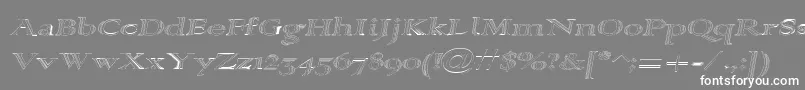 Alpharevhollow Font – White Fonts on Gray Background
