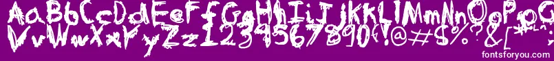 TableInABearSuit Font – White Fonts on Purple Background