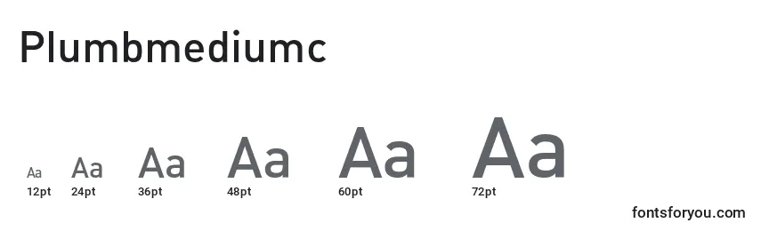 Размеры шрифта Plumbmediumc
