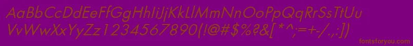 BelmaroblNorma Font – Brown Fonts on Purple Background