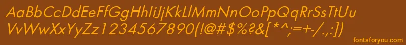 BelmaroblNorma Font – Orange Fonts on Brown Background