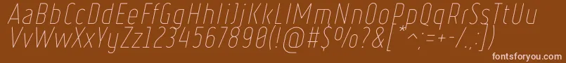 RulerThinItalic Font – Pink Fonts on Brown Background