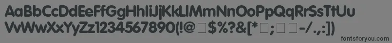 VagRoundedBlack Font – Black Fonts on Gray Background