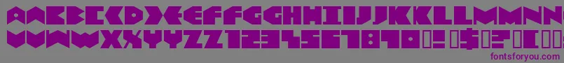 Data Font – Purple Fonts on Gray Background