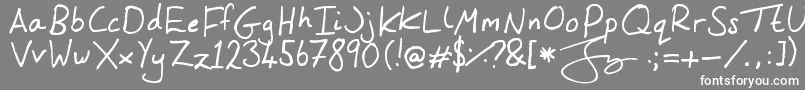 フォントTheOneJennyMade – 灰色の背景に白い文字