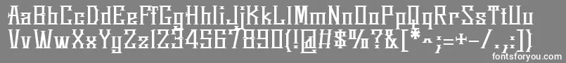 フォントSpringmarchRoman – 灰色の背景に白い文字