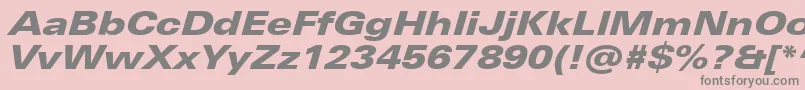 UniversNextProBlackExtendedItalic Font – Gray Fonts on Pink Background