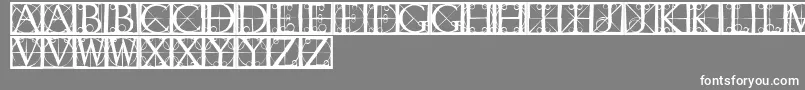 Capsrandomishbricks Font – White Fonts on Gray Background