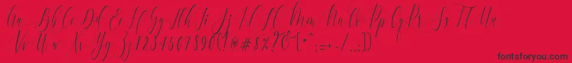 Шрифт CharlotteCalligraphyR1 – чёрные шрифты на красном фоне