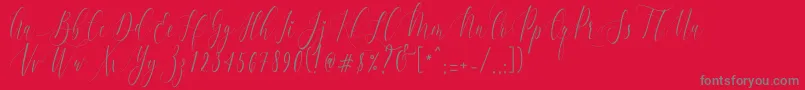 Czcionka CharlotteCalligraphyR1 – szare czcionki na czerwonym tle