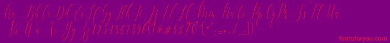 Fonte CharlotteCalligraphyR1 – fontes vermelhas em um fundo violeta