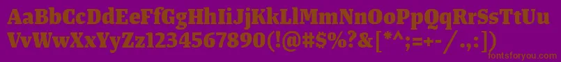 TangerserifnarrowExtrabold Font – Brown Fonts on Purple Background