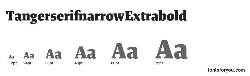 Размеры шрифта TangerserifnarrowExtrabold