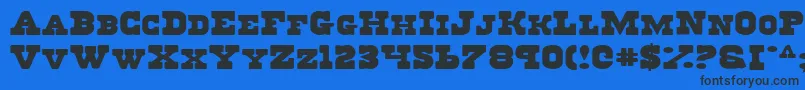RegulatorsExpanded Font – Black Fonts on Blue Background