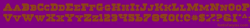 RegulatorsExpanded Font – Brown Fonts on Purple Background