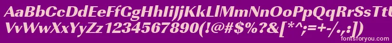 UrwimperialtultbolOblique Font – Pink Fonts on Purple Background
