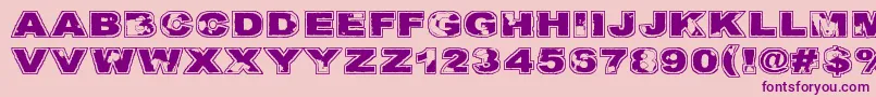 Kulkeuma Font – Purple Fonts on Pink Background