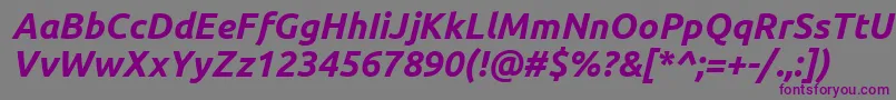 UbuntuBoldItalic Font – Purple Fonts on Gray Background