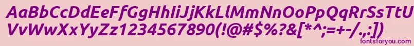 UbuntuBoldItalic Font – Purple Fonts on Pink Background