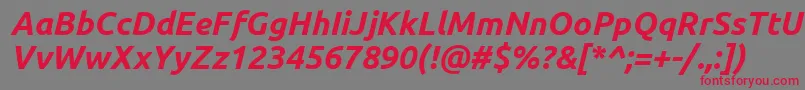 UbuntuBoldItalic Font – Red Fonts on Gray Background