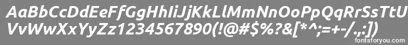 フォントUbuntuBoldItalic – 灰色の背景に白い文字