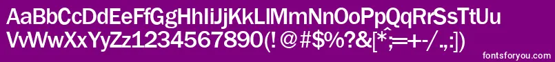 FranklingothicnewMediumRegular Font – White Fonts on Purple Background