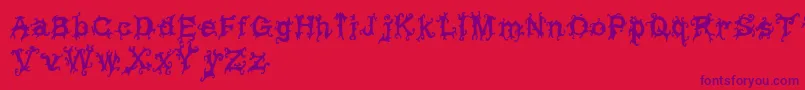 Vineytimes-Schriftart – Violette Schriften auf rotem Hintergrund