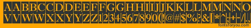 AAntiquetitultradycm Font – Black Fonts on Orange Background