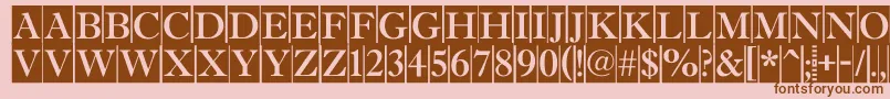 AAntiquetitultradycm Font – Brown Fonts on Pink Background
