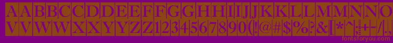 AAntiquetitultradycm Font – Brown Fonts on Purple Background