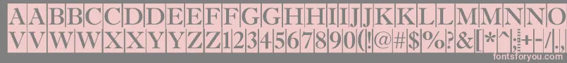 AAntiquetitultradycm Font – Pink Fonts on Gray Background