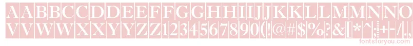 AAntiquetitultradycm Font – Pink Fonts on White Background