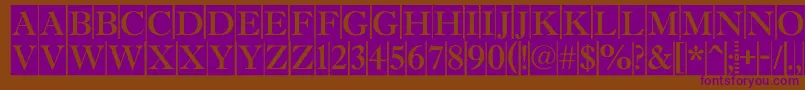 AAntiquetitultradycm Font – Purple Fonts on Brown Background