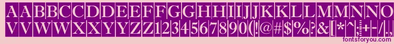 AAntiquetitultradycm Font – Purple Fonts on Pink Background