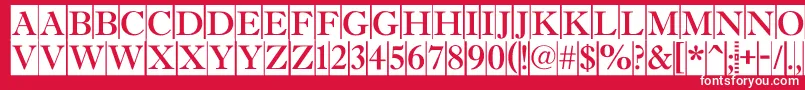 AAntiquetitultradycm Font – White Fonts on Red Background