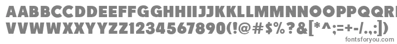 Race1BranntNcv Font – Gray Fonts on White Background