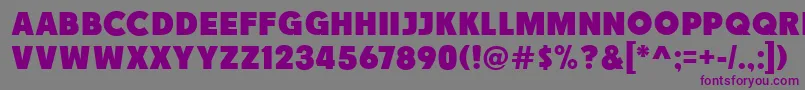 Race1BranntNcv Font – Purple Fonts on Gray Background