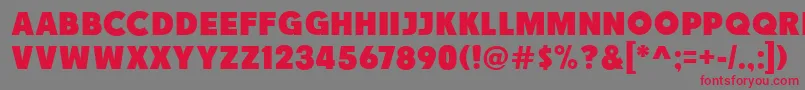 Race1BranntNcv Font – Red Fonts on Gray Background