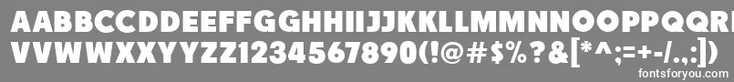 フォントRace1BranntNcv – 灰色の背景に白い文字