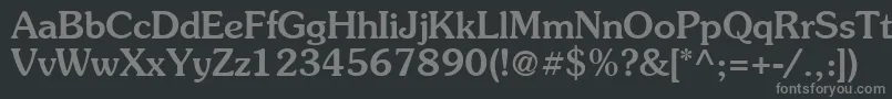 Suevermeer5Mediumsh Font – Gray Fonts on Black Background