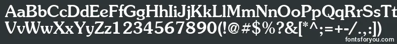 Suevermeer5Mediumsh Font – White Fonts on Black Background