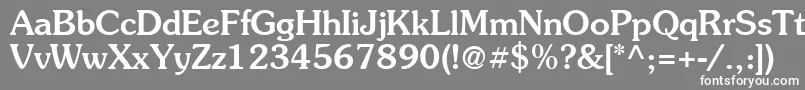 Suevermeer5Mediumsh-Schriftart – Weiße Schriften auf grauem Hintergrund