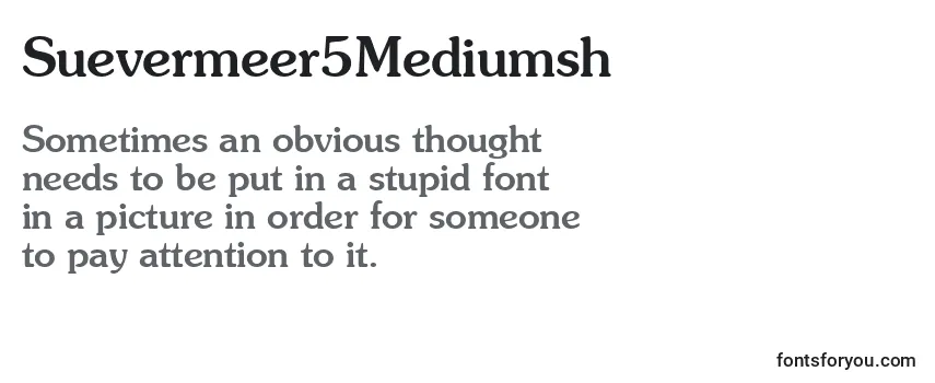 Review of the Suevermeer5Mediumsh Font