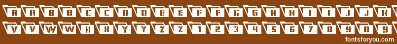 Eyesonlyleft Font – White Fonts on Brown Background