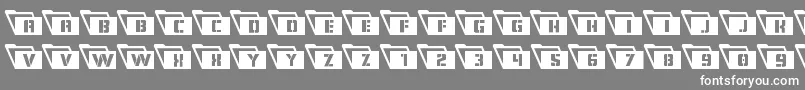 Eyesonlyleft Font – White Fonts on Gray Background