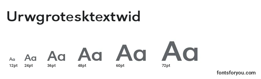 Размеры шрифта Urwgrotesktextwid