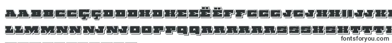 Шрифт Chicagoexpresspunch – ньянджа шрифты