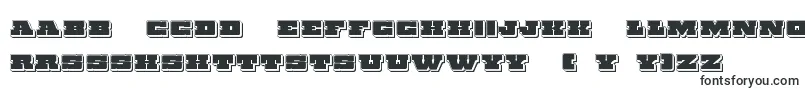 フォントChicagoexpresspunch – ハウスフォント